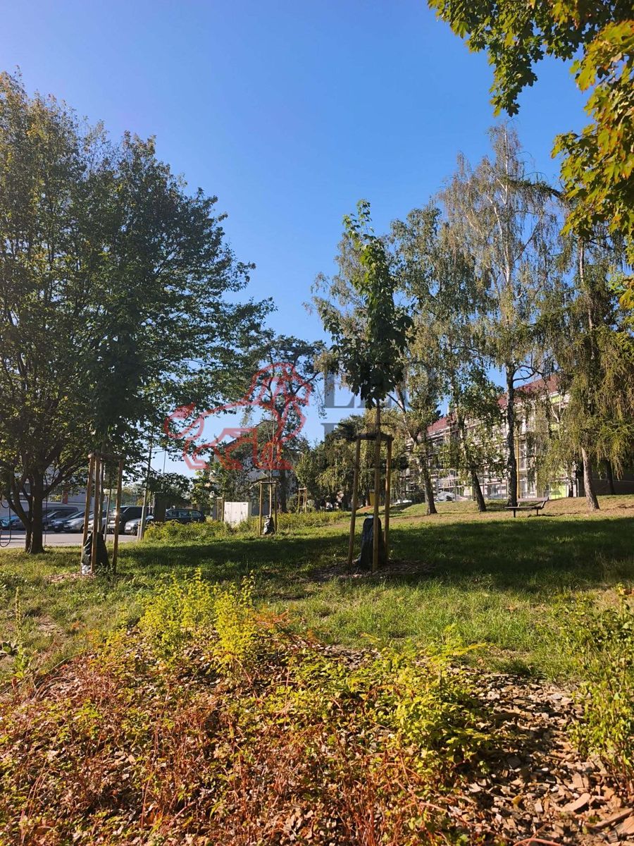 Pronájem bytu 2+1 57 m²